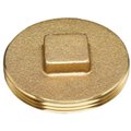 Tinkertools 42370 Clean Out Plug 2 In. Brass TI415849